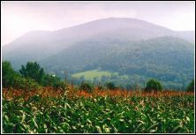 lortet hautes pyrnes paysage des quatres valles.jpg